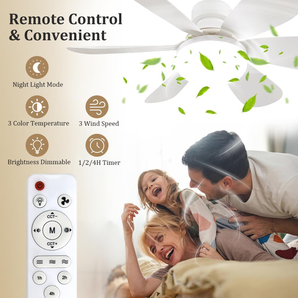 Socket Fan Light with Remote,  - Home Decor Light recension och pris